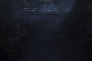 TW-Bridge-2-Moonlight-1500f132763e75.jpg