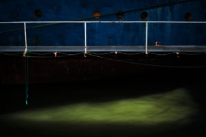 20200206-copyright-HarryWijsbroek.com_159f072653.jpg