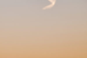 20190226-copyright-HarryWijsbroek.com_9e2835574a.jpg