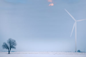 copyright-HarryWijsbroek.com_0408631671.jpg