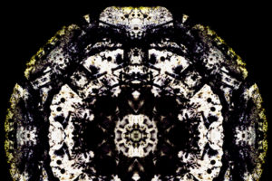 Elemental-Eidos-6-2x2c9d3ad9951.jpg