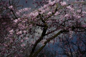 It-was-a-bright-cold-day-in-April-and-the-clocks-were-striking-thirteen.-copy73536b83f3.jpeg