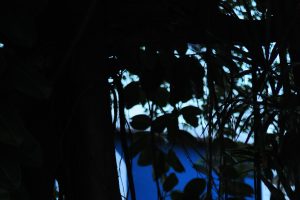 19C05DBF-FADD-4702-8BC3-311F02804C14ff04f14b91.jpeg