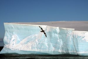 antarctica-001-2d42f9b3ade.jpg