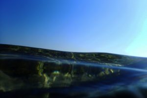 marina_antoniou_imageresizeddown_poetry2ffd97ae484.jpg