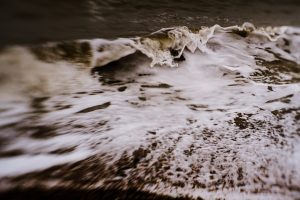 RachelRimellStrandline-March-21-Dungeness_Greatstone-11e676df6bd0.jpg