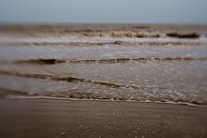 RachelRimellStrandline-March-21-Dungeness_Greatstone-279fffb463a4.jpg