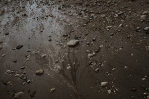 Yorkshire-artist-37d4a9b70148.jpg