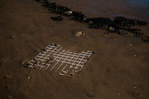 Strandline-call-of-the-sea-Whitby-24680db3adc0.jpg