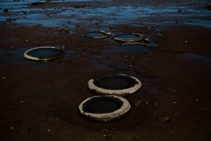 Strandline-call-of-the-sea-Whitby-2583ed433b76.jpg