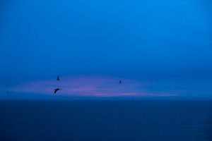 Fine-art-photography-prints-4876c9c90f81.jpg
