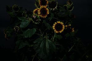 August-2e8f647277.jpg