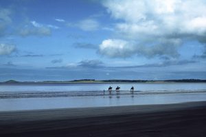 Gwen-Campbell-Horses-Rosses-point4e28fbbd49.jpg