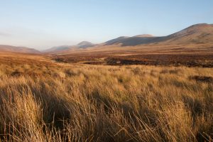 Gwen-Campbell-Pentland-hills-SHdac4841250.jpg