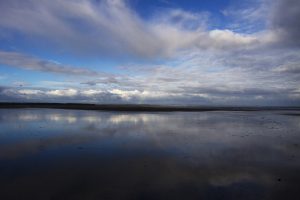 Gwen-Campbell-St-Andrews-beach-SH458732fde1.jpg