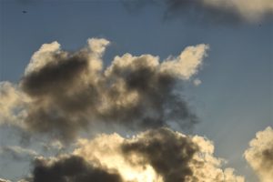 shutterhub6f369107125.jpg
