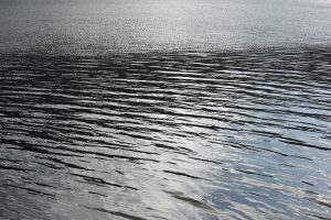 Shutterhub389e3c5a48f.jpg
