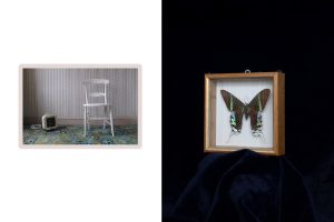 Clair_Robins_Merging_Present_and_Past-_5_2021c47c97d1ac.jpg