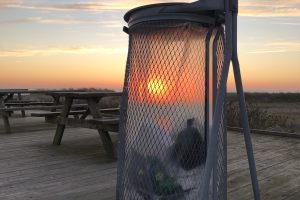 Sunrise-through-a-bin-by-Charlotte-Morrison-cdfafb8f9a.jpg