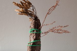 emmatsrobinson-botanical-art-nothing-lasts-forever-0efd80f538.jpg