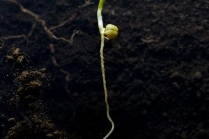 emmatsrobinson-Digging-untitled-0610c13c5cbd.jpg