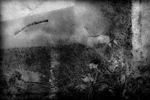 hanne_castein_street_find28e979874e.jpg