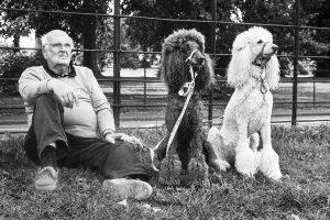 richard_alton_194_poodles_and_owner67ade4bc89.jpg