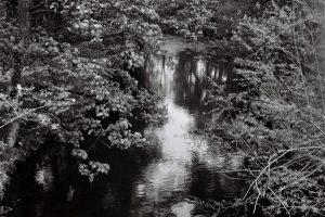 Jake-Williams-What-Passing-Bells-Water-of-Leith-May-2022-22cff48fe82d.jpg