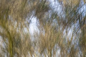 Nicola_Parry_Retracing_SHddcafc86dc.jpg