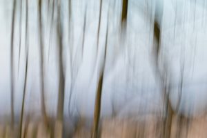 NParry_Root_Mar22_SH9d6c615fbe.jpg
