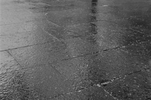 Jake-Williams-What-Passing-Bells-Rainy-May-Day-2cd247e6a10.jpg