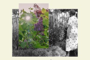 Rachel-Nixon_The-Garden-of-Maggie-Victoria_A-Slow-Speed763fb1ea8d.jpg