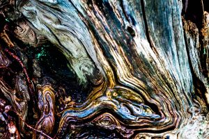 8-Roots-III7d7df2bd10.jpg