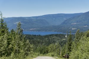 41-LK-7535-ShuswapLakeIvyRd-EagleBayv21e83f46021.jpg