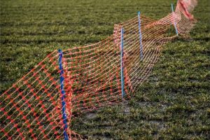Fence-from-the-series-What-a-History-Hangs950212b4b5.jpg