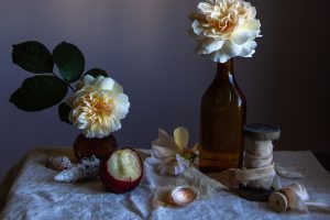Emma-Harris-Roses56023e3e59fb2cedd82e.jpg